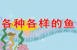 幼兒園科學各種各樣的魚PPT課件