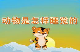 中班科學動物是怎樣睡覺的PPT課件