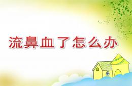 大班健康流鼻血了怎么辦PPT課件