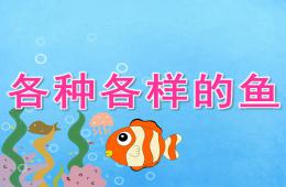 中班綜合活動各種各樣的魚PPT課件