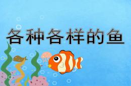 幼兒園美術各種各樣的魚PPT課件