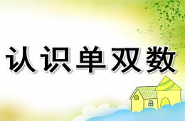 大班認識單雙數(shù)PPT課件