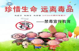 大班禁毒教育PPT課件