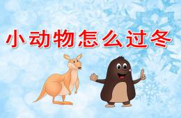 大班小動物怎么過冬PPT課件