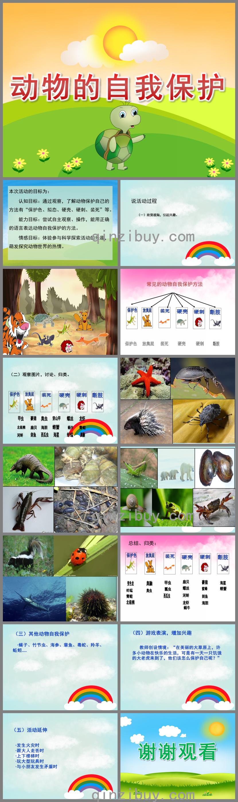 大班科學活動動物的自我保護PPT課件