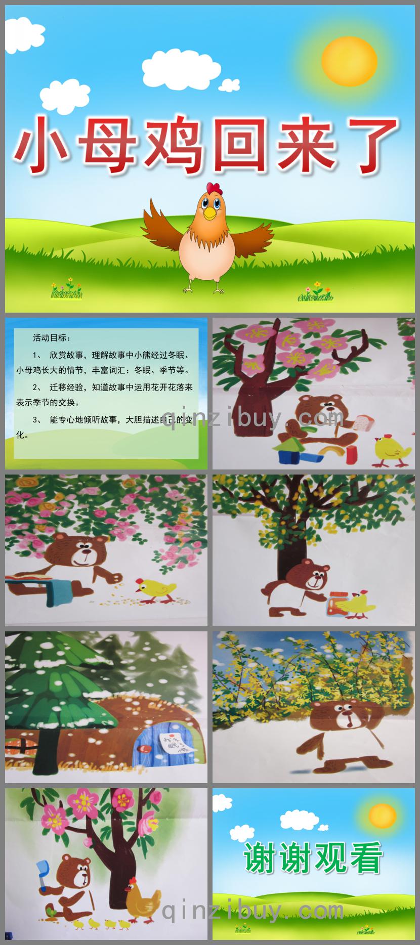 中班語言小母雞回來了PPT課件