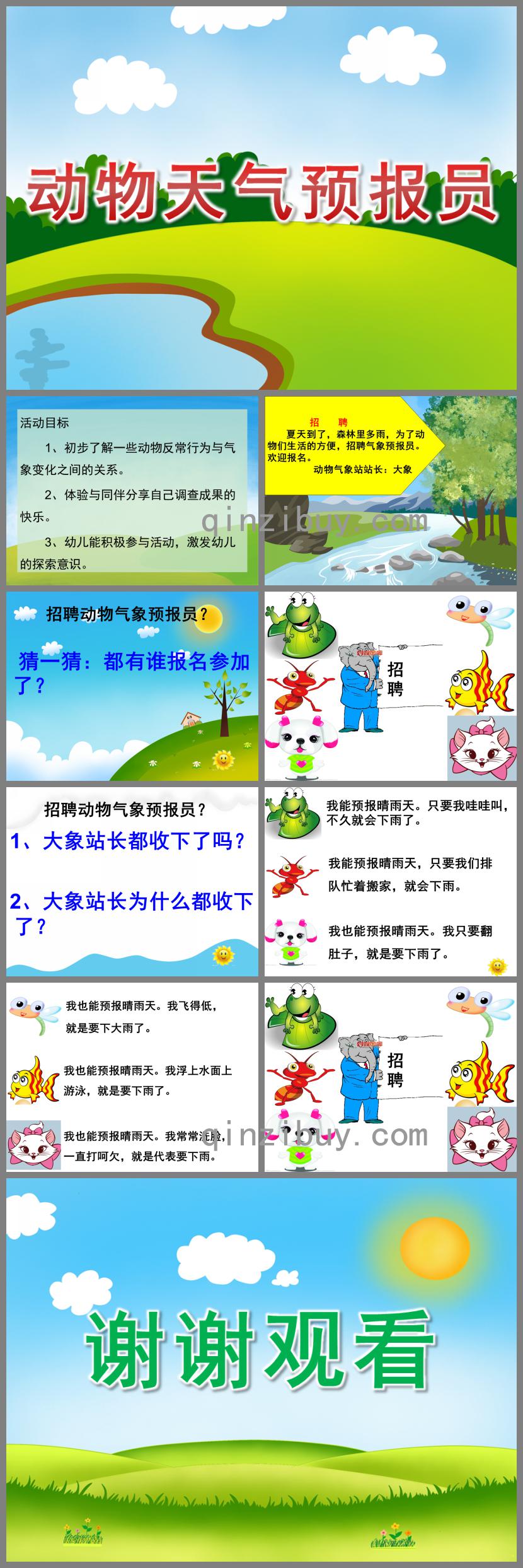 大班動物天氣預報員PPT課件
