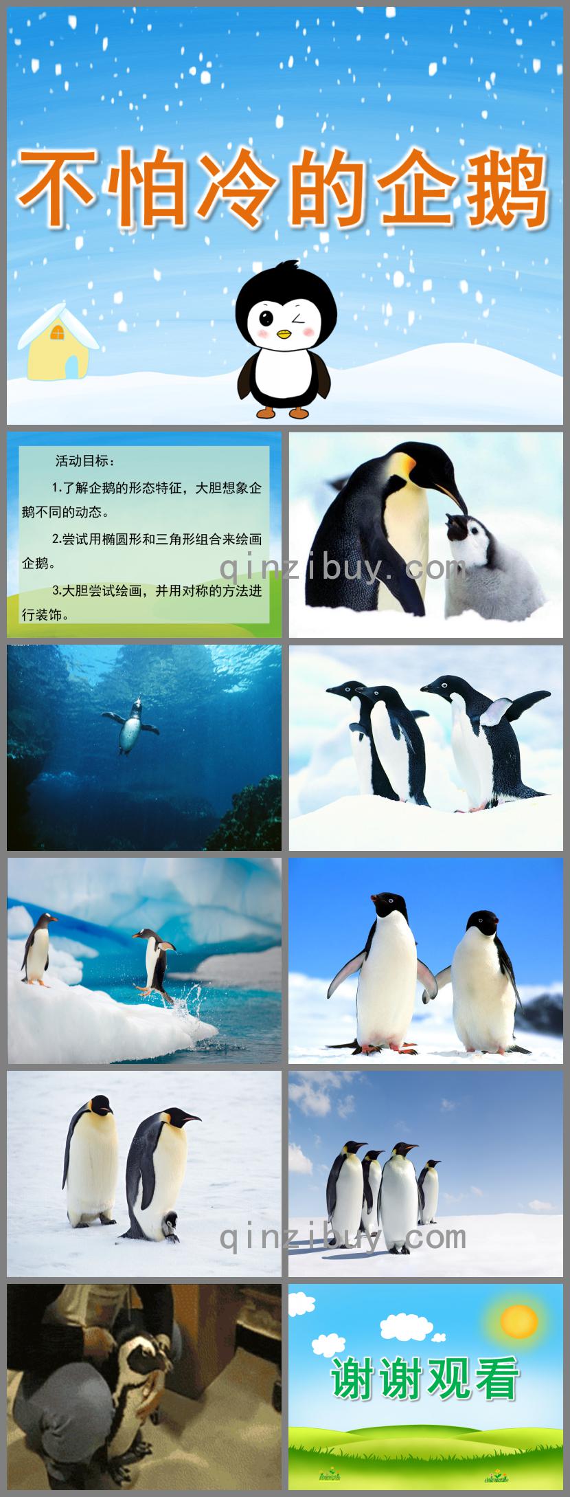 中班美術小企鵝不怕冷PPT課件