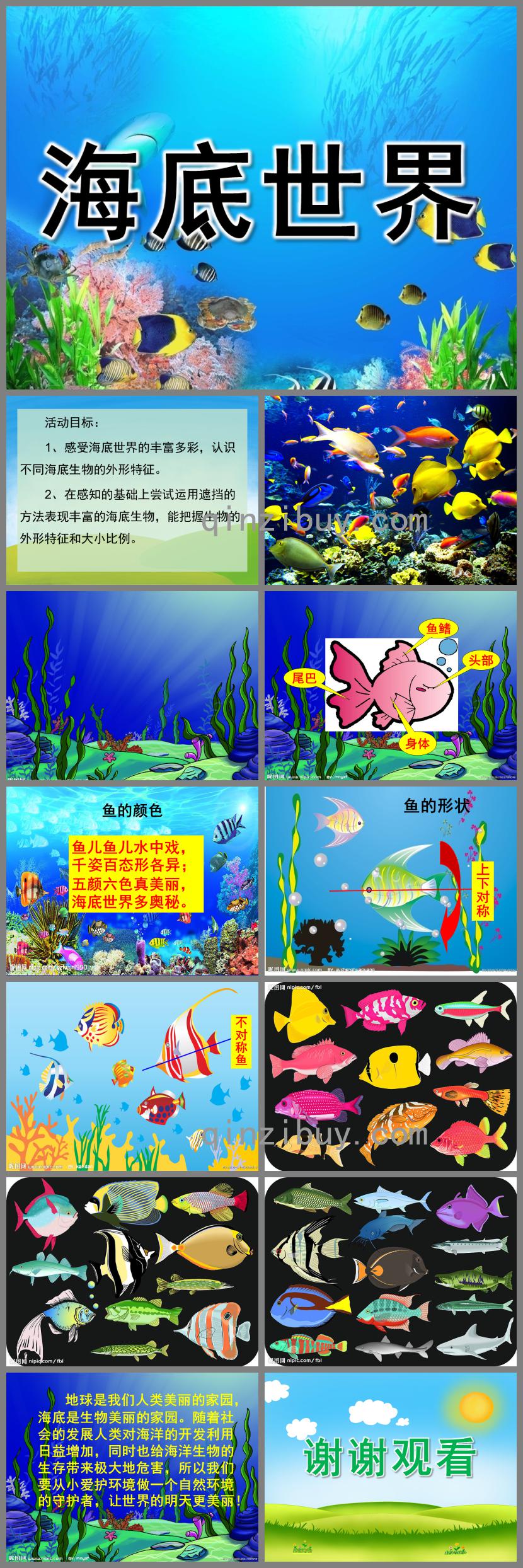 中班海底世界PPT課件