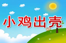 小班律動小雞出殼PPT課件音樂