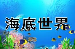 中班海底世界PPT課件