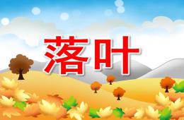 中班散文詩落葉PPT課件