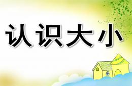 小班數(shù)學(xué)認(rèn)識大小PPT課件