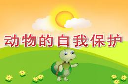 大班科學活動動物的自我保護PPT課件
