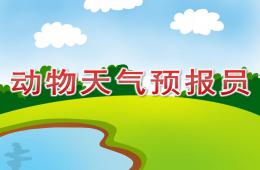 大班動物天氣預報員PPT課件