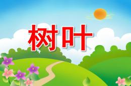 學前班識字樹葉PPT課件