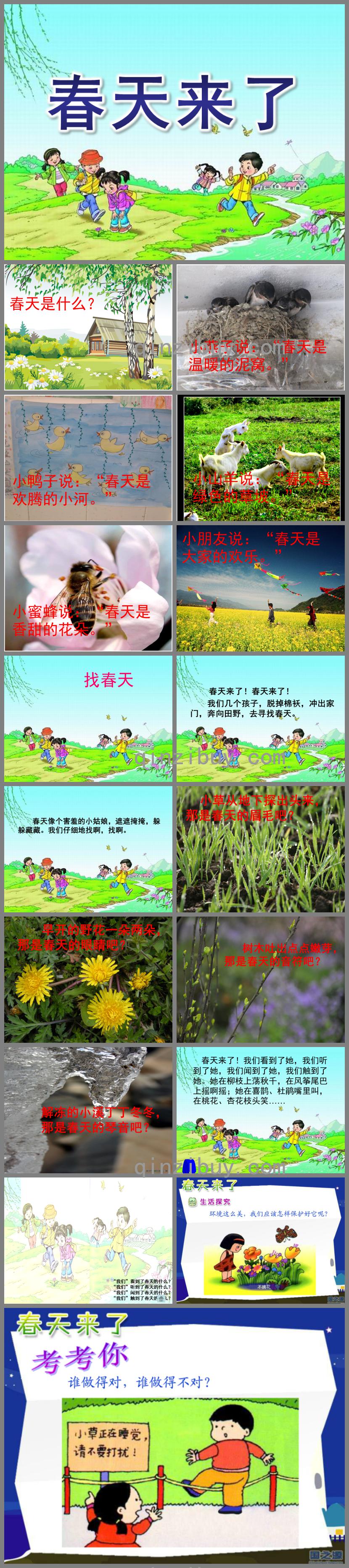 大班科學春天來了PPT課件