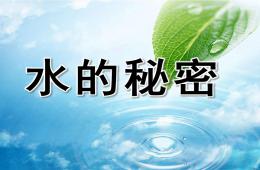 中班科學水的故事PPT課件