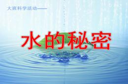 大班科學(xué)活動(dòng)水的秘密PPT課件