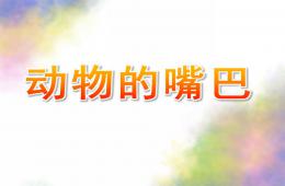 中班科學動物的嘴巴PPT課件