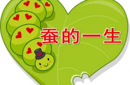 大班科學活動蠶的一生PPT課件