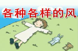 中班科學活動各種各樣的風PPT課件