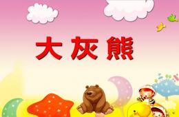 中班音樂(lè)大灰熊PPT課件配音歌曲