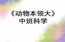 中班科學動物本領大PPT課件