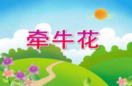 中班語言活動牽?；≒PT課件