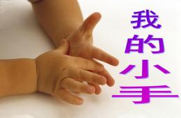 中班美術(shù)我的小手PPT課件