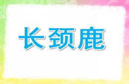 中班繪畫長頸鹿PPT課件