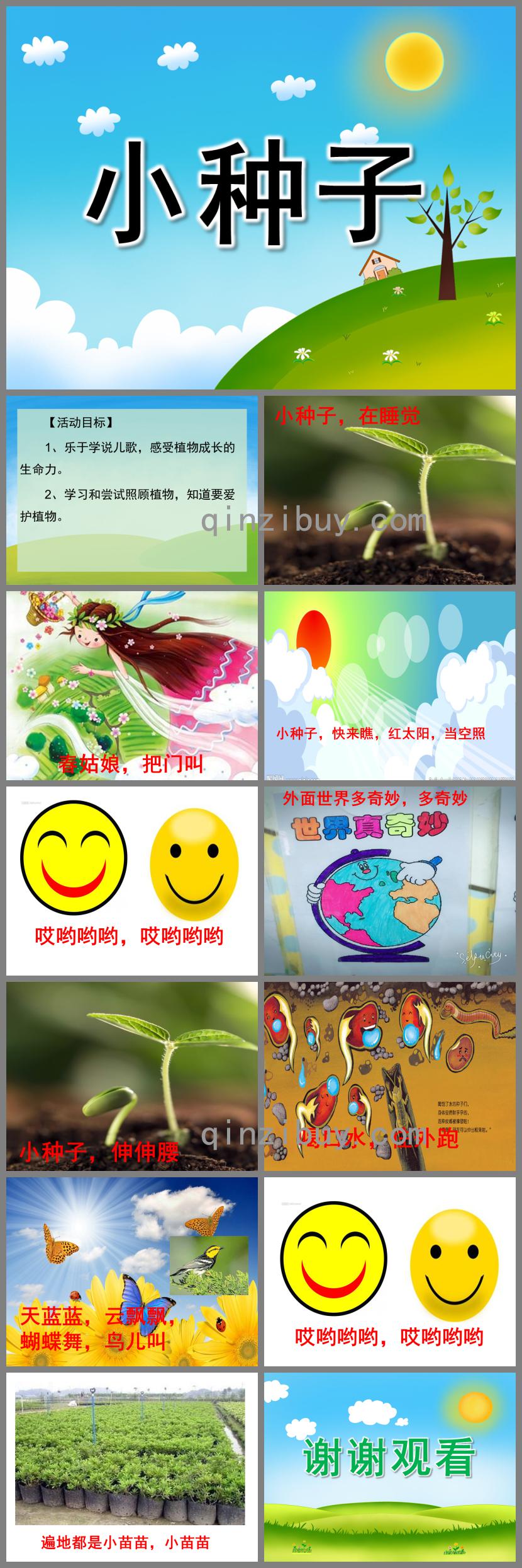 小班歌曲小種子PPT課件音樂