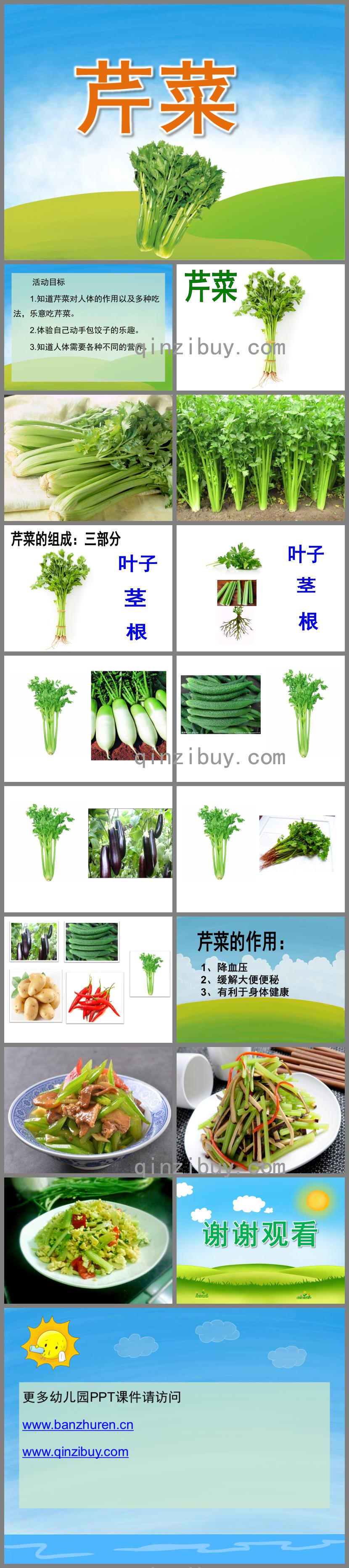 中班健康芹菜PPT課件
