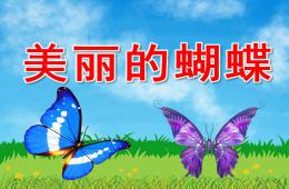 中班美術美麗的蝴蝶PPT課件音樂