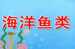 小班科學(xué)海洋魚類PPT課件