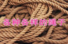 中班科學(xué)各種各樣的繩子PPT課件