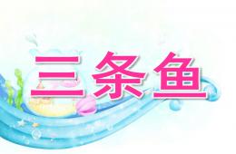中班語言公開課三條魚PPT課件