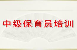中級保育員培訓PPT課件