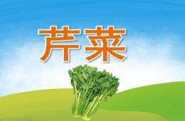 中班健康芹菜PPT課件
