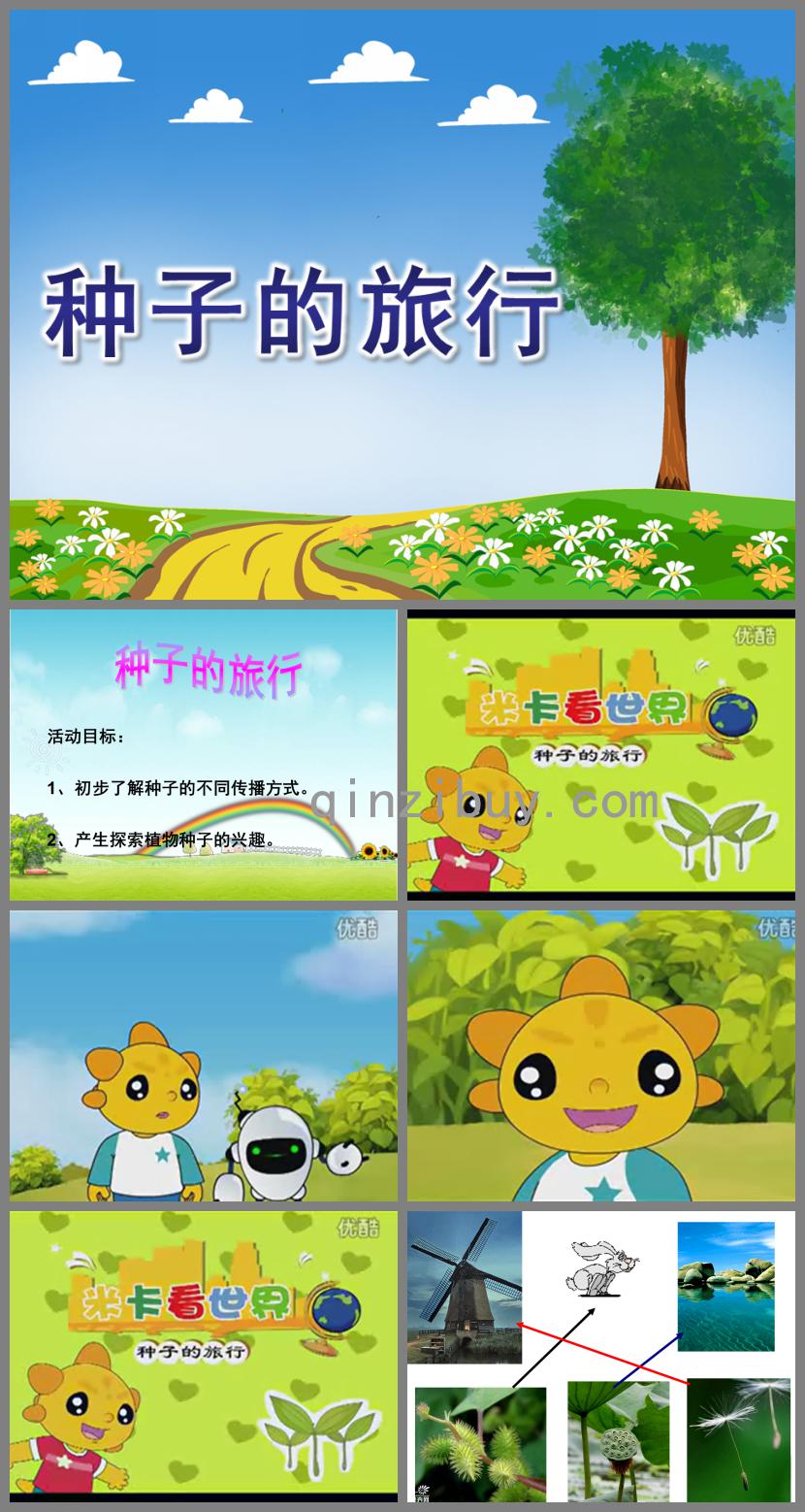 大班語言種子的旅行PPT課件音頻視頻