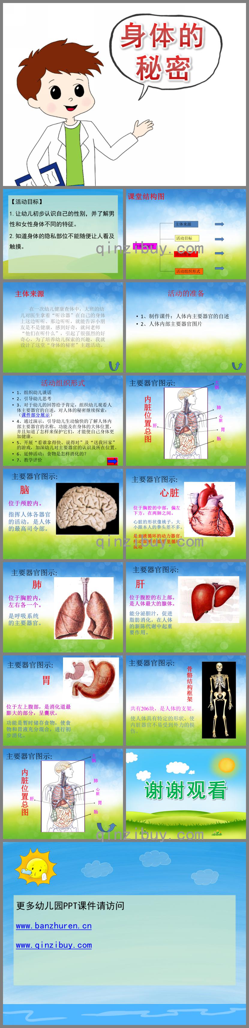 大班健康身體的秘密PPT課件