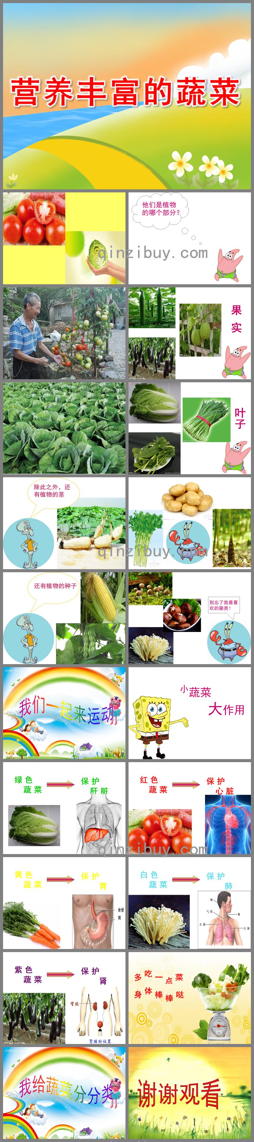 大班健康營養豐富的蔬菜PPT課件