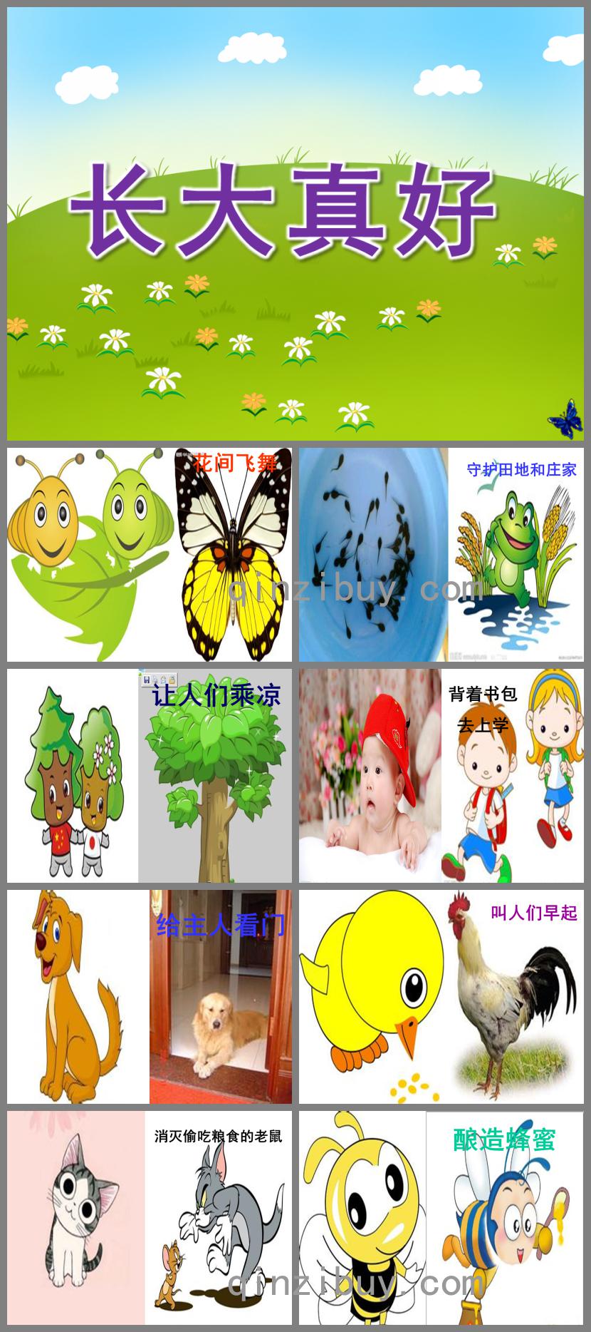 大班語言長大真好PPT課件