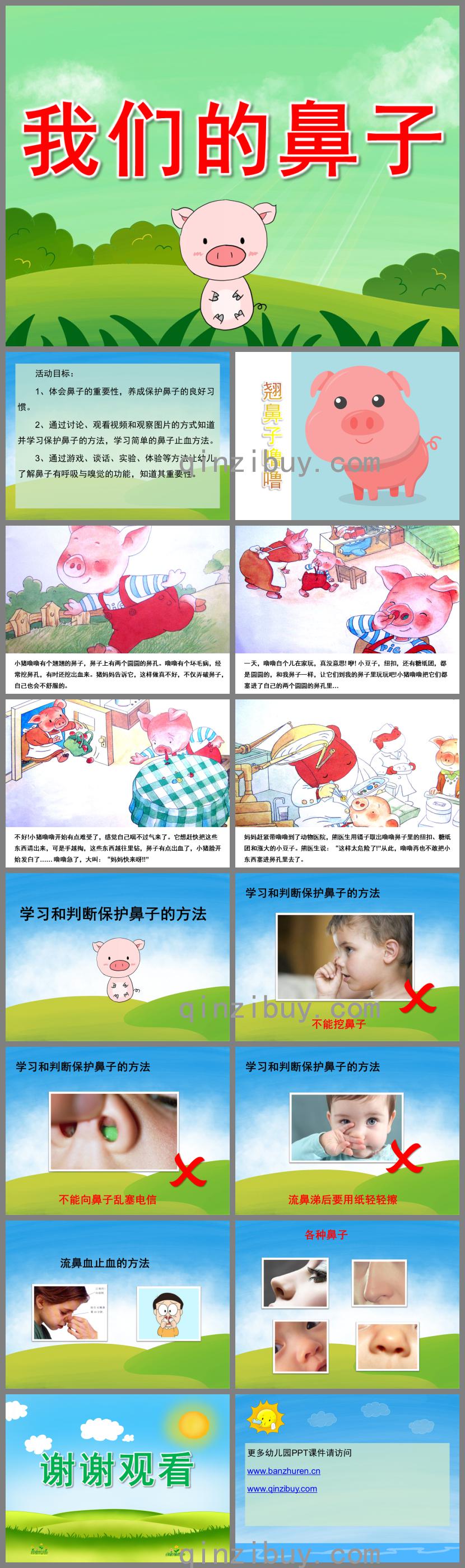 大班健康我們的鼻子PPT課件