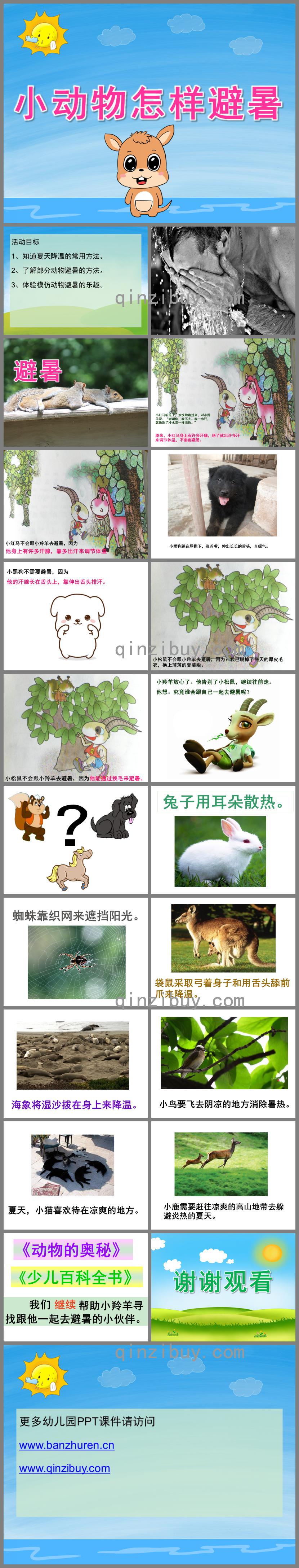 中班科學(xué)小動物怎樣避暑PPT課件