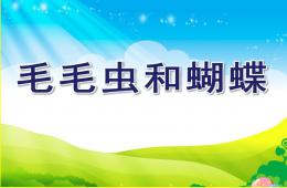 中班科學毛毛蟲和蝴蝶PPT課件