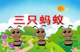 中班語言三只螞蟻PPT課件