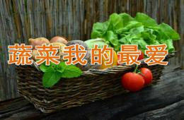 中班健康蔬菜我最愛PPT課件