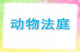 大班語言活動動物法庭PPT課件