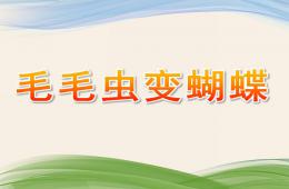 中班科學毛毛蟲變蝴蝶PPT課件